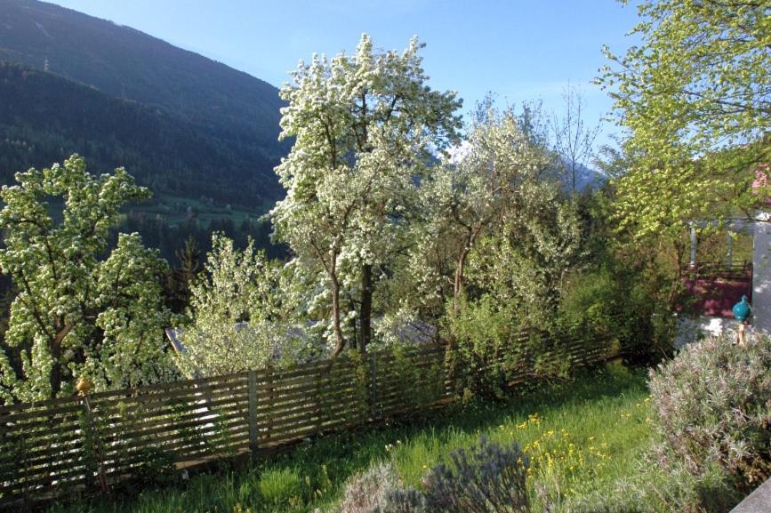 Studio Ualysses Arzl im Pitztal Exteriér fotografie